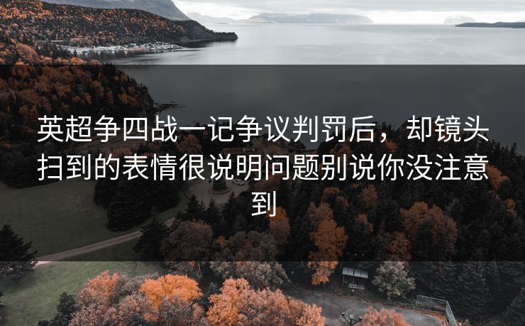 英超争四战一记争议判罚后，却镜头扫到的表情很说明问题别说你没注意到