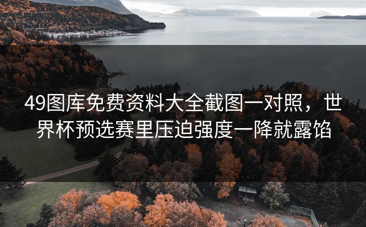 49图库免费资料大全截图一对照，世界杯预选赛里压迫强度一降就露馅