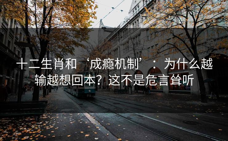 十二生肖和‘成瘾机制’：为什么越输越想回本？这不是危言耸听