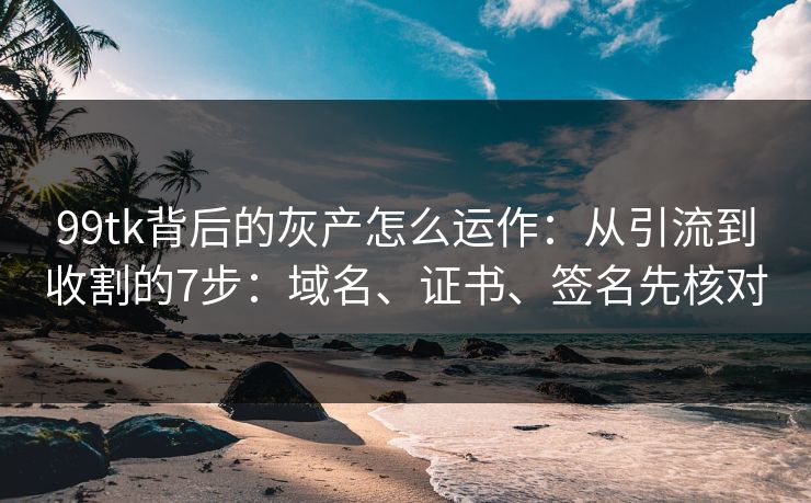 99tk背后的灰产怎么运作：从引流到收割的7步：域名、证书、签名先核对