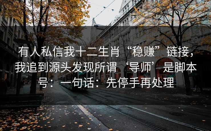 有人私信我十二生肖“稳赚”链接，我追到源头发现所谓‘导师’是脚本号：一句话：先停手再处理